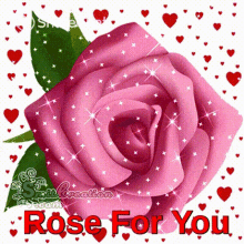 Rose For You आपकेलिएगुलाब GIF - Rose For You आपकेलिएगुलाब चमचमातेतारे GIFs