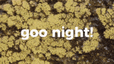 a picture of a coral reef with the words goo night