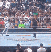 a wrestler in a ring with a crowd behind him and a sign on the floor that says ' tampa bay '