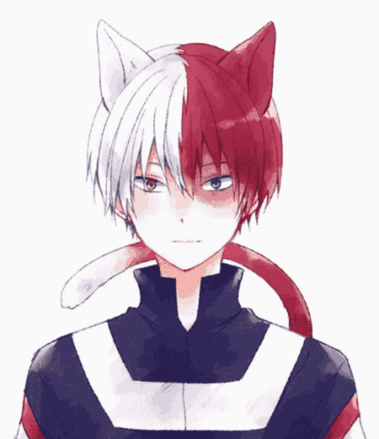 Shoto Todoroki Wallpaper