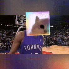a man in a toronto jersey with a cat on his face