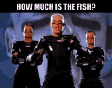 Scooter How Much Is The Fish GIF - Scooter How Much Is The Fish Techno GIFs