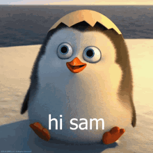 Hi Penguin GIF - Hi Penguin Sam GIFs