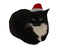 a black and white cat wearing a red santa hat