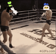 Gooby Pls Donald GIF - Gooby Pls Donald Kick Boxing GIFs
