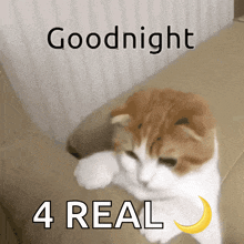 a cat laying on a couch with the words goodnight 4 real on the bottom