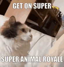 Super Animal Royale Cat GIF
