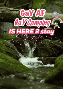 a picture of a stream with the words gay af gay camping is here 2 stay