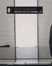 sillyanne wrote a post in the pet channel on 3/27/2025