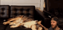 Goldglove Dog GIF - Goldglove Dog Pet GIFs