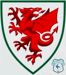 Cardiff Wales GIF - Cardiff Wales GIFs