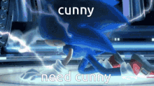 Cunny Need Cunny GIF - Cunny Need Cunny Werehog Cunny GIFs