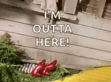 Wizard Of Oz Disappear GIF - Wizard Of Oz Disappear Im Out GIFs
