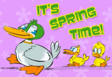 It'S Spring Time Ducks GIF - Spring Seasons Ducks GIFs