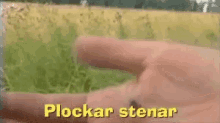 a close up of a person 's hand with the words plockar stenar written on the bottom