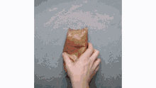 a person is holding a bag of food in their hands .