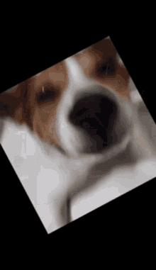 Acethedog Hesacube GIF - Acethedog Hesacube Cube GIFs