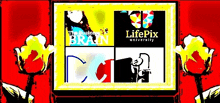 a life pix university logo is displayed on a screen