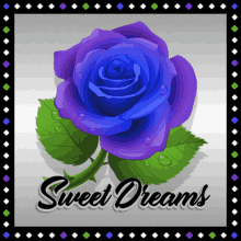 Sweet Dreams Goodnight GIF - Sweet Dreams Goodnight Blue Rose GIFs
