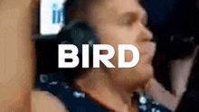 Birdfromsky Blamef GIF