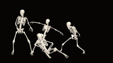 Skel Skeleton GIF - Skel Skeleton Dance GIFs