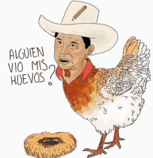 Gallina GIF - Gallina GIFs