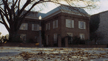 The Exorcist 1973 Windblow Fall Tree Camera Shot Cinematography GIF