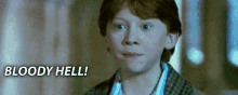 ron bloodyhell harrypotter wizard