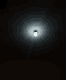 a light bulb is shining in the dark