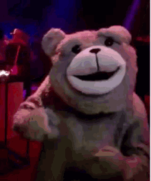 friday yippee dance ted bear
