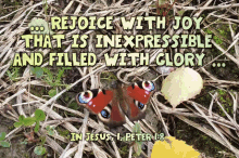 Rejoice Joy GIF - Rejoice Joy With Joy GIFs