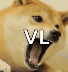 Vl Winter Is Coming GIF - Vl Winter Is Coming Scream GIFs