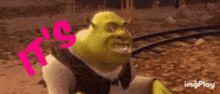 Shrek It GIF - Shrek It Its GIFs