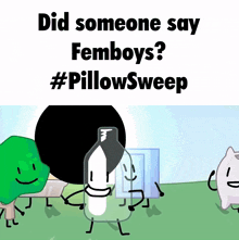 a poster that says did someone say femboys #pillow sweep