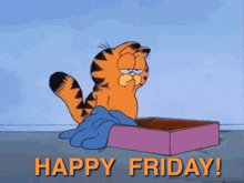 garfield is laying in a box with the words happy friday