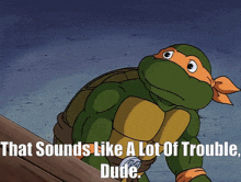 a picture of a teenage mutant ninja turtle with a caption that says that sounds like a lot of trouble dude