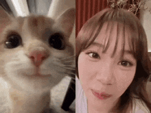 a close up of a cat 's face next to a woman 's face .