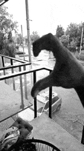 a black and white photo of a person making a heart with their hand