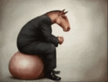 a man with a horse 's head is sitting on a ball .