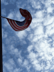 America Merica GIF - America Merica Flag GIFs