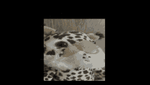 a stuffed animal with a leopard print on it