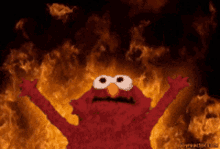 Elmo Fire GIF - Elmo Fire Victory GIFs
