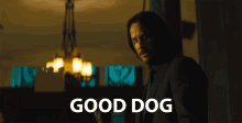 Good Dog Good Boy GIF - Good Dog Good Boy Good Job GIFs