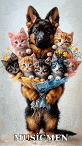 a painting of a dog holding a bunch of kittens and the words musicmen