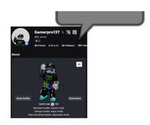 a screenshot of a person 's profile with the name gamerpro137