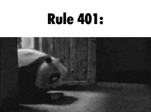 a black and white photo of a panda bear in a cage with the words `` rule 401 '' written above it .