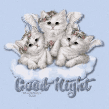 Goodnight Kittens GIF - Goodnight Kittens Cute GIFs