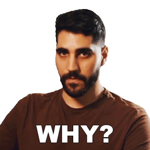 Why Rudy Ayoub Sticker - Why Rudy Ayoub What'S The Reason Stickers