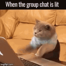Group Chat Lit GIF