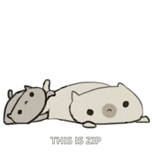 a couple of cats laying on top of each other with the words `` this is zip '' below them .